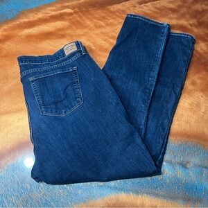 Levi’s signature Mid Rise Slim Blue Jeans size 20